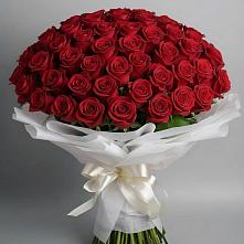 Букет 101 Красная роза Блэк Мэджик в Тимохово