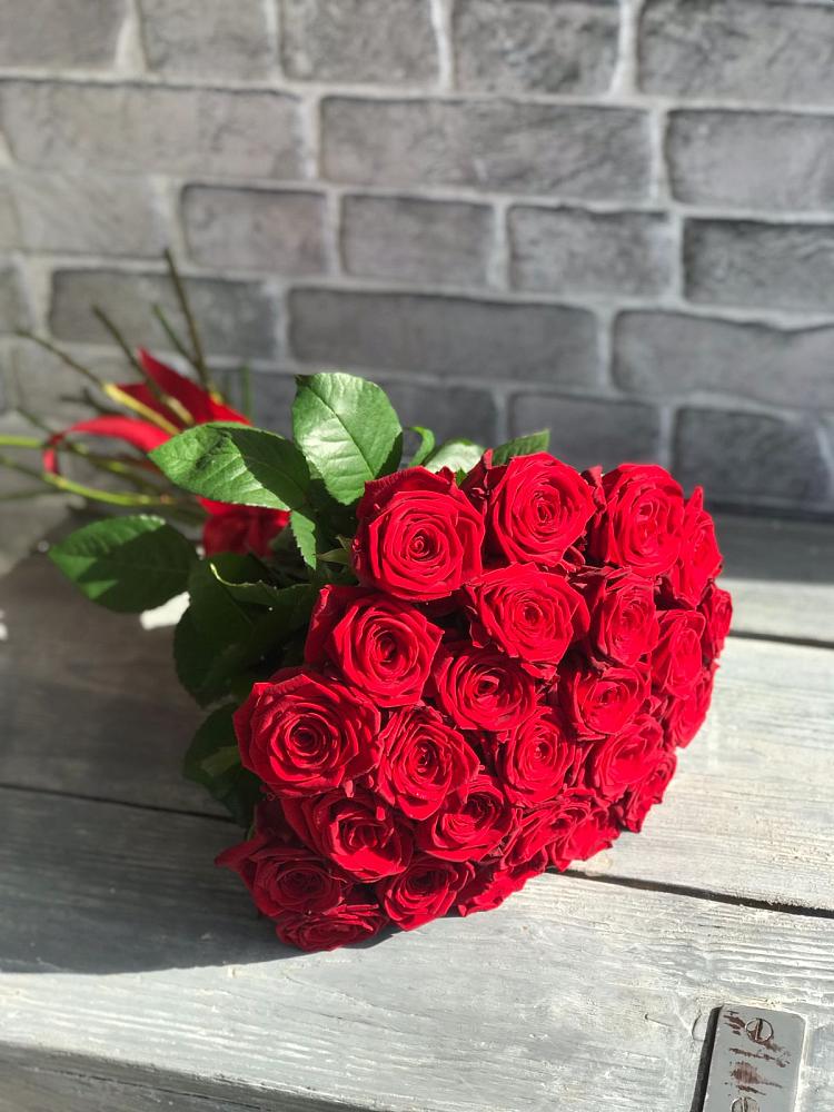 Букет Красные розы Фридом в Тимохово