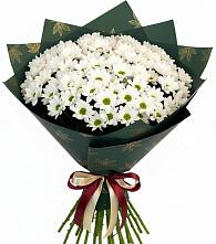 Букет цветов из:  Хризантемы в Тимохово