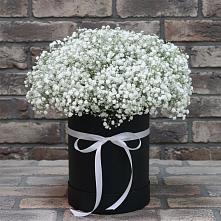 Цветочная композиция из Гипсофила в шляпной коробке #REPLACE_PRED# Тимохово