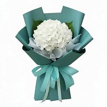 Букет цветов из:  Гортензия #REPLACE_PRED# Тимохово